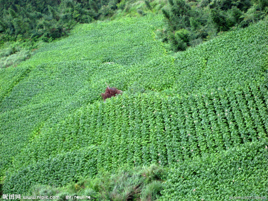 ��ѧ��������ѯ